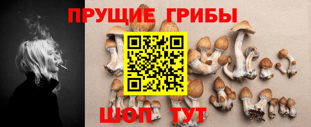 Галлюциногенные грибы MAGIC MUSHROOMS  Псилоцибиновые грибы Cubensis  Вход с VPN  Норильск 