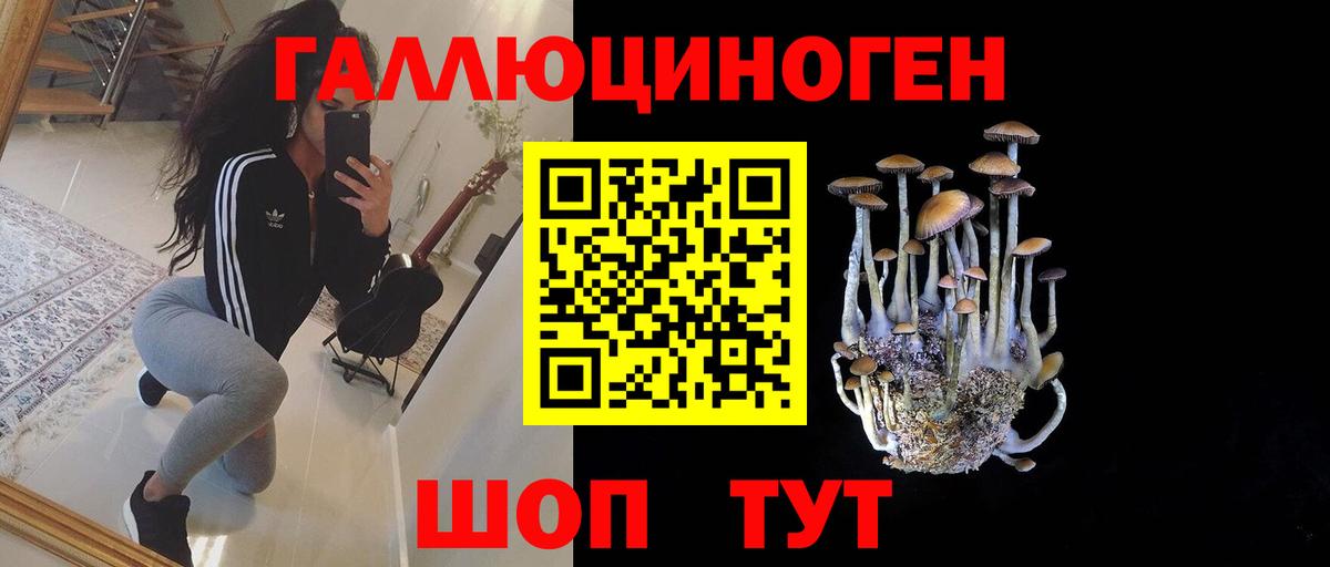 Галлюциногенные грибы прущие грибы Норильск